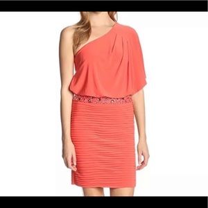 J.S. Boutique One Shoulder Dress